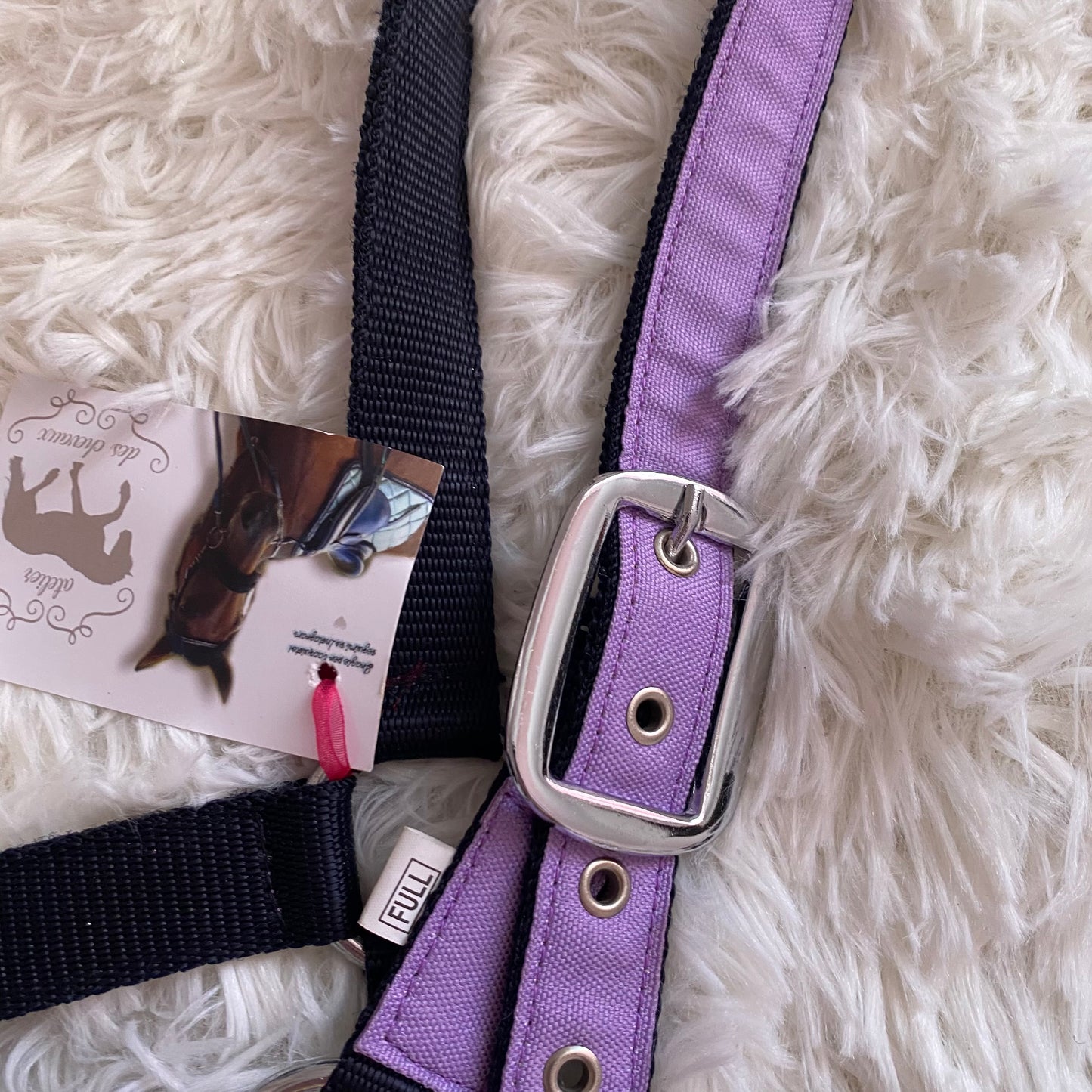 Cavezza Lila Star 🦄