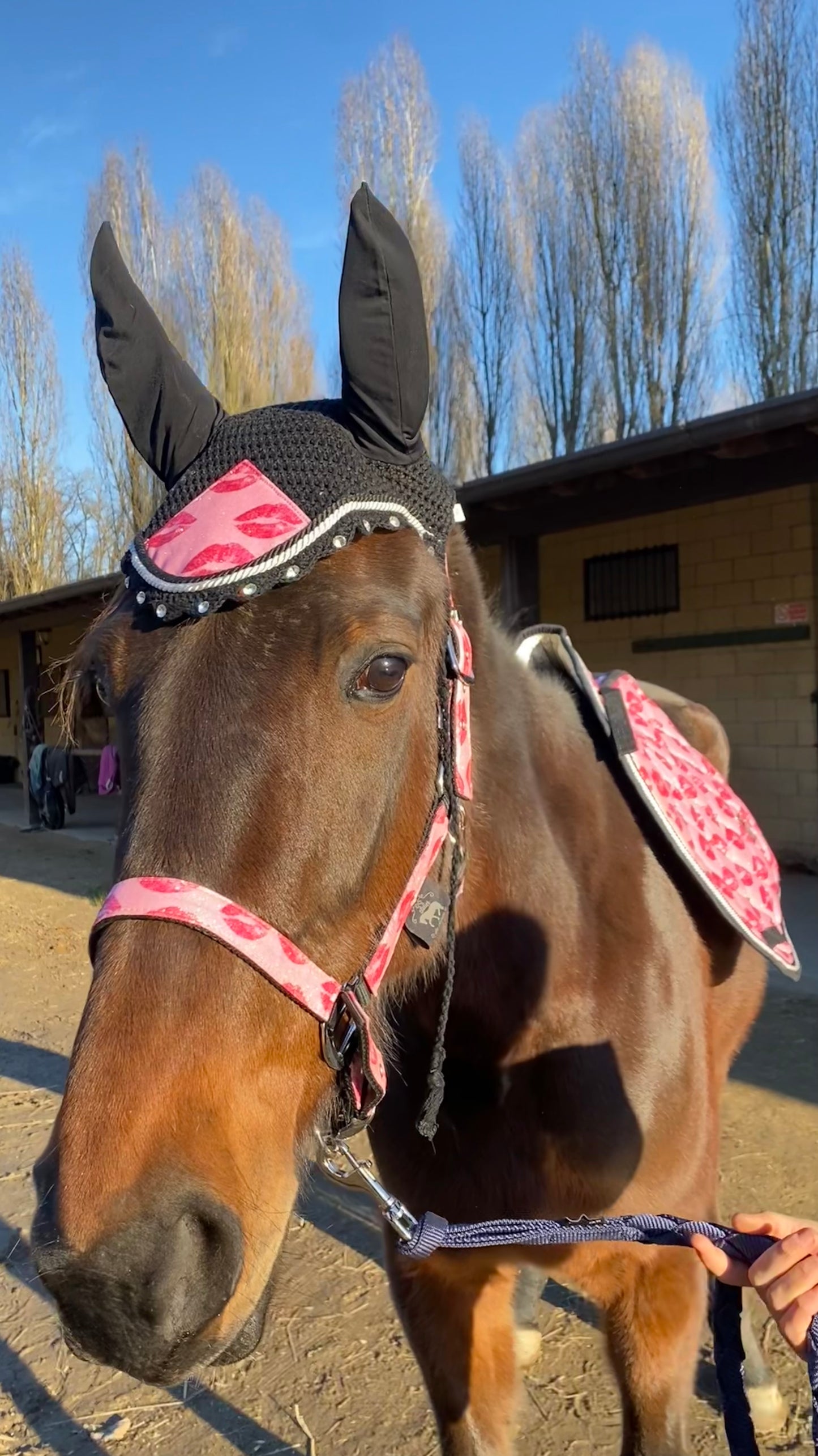 Completo da salto rosa glitter con baci