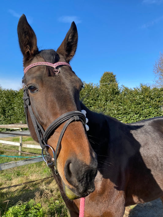 Frontalino Heart Charm