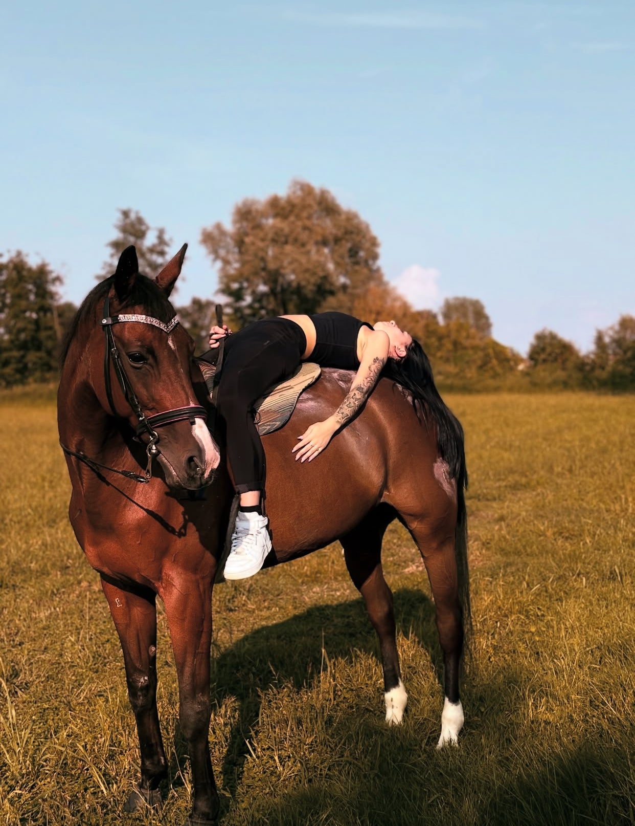 Browband Silver Elegance