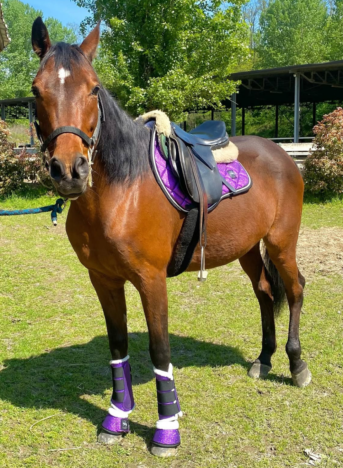 Completo Purple Spark 💜
