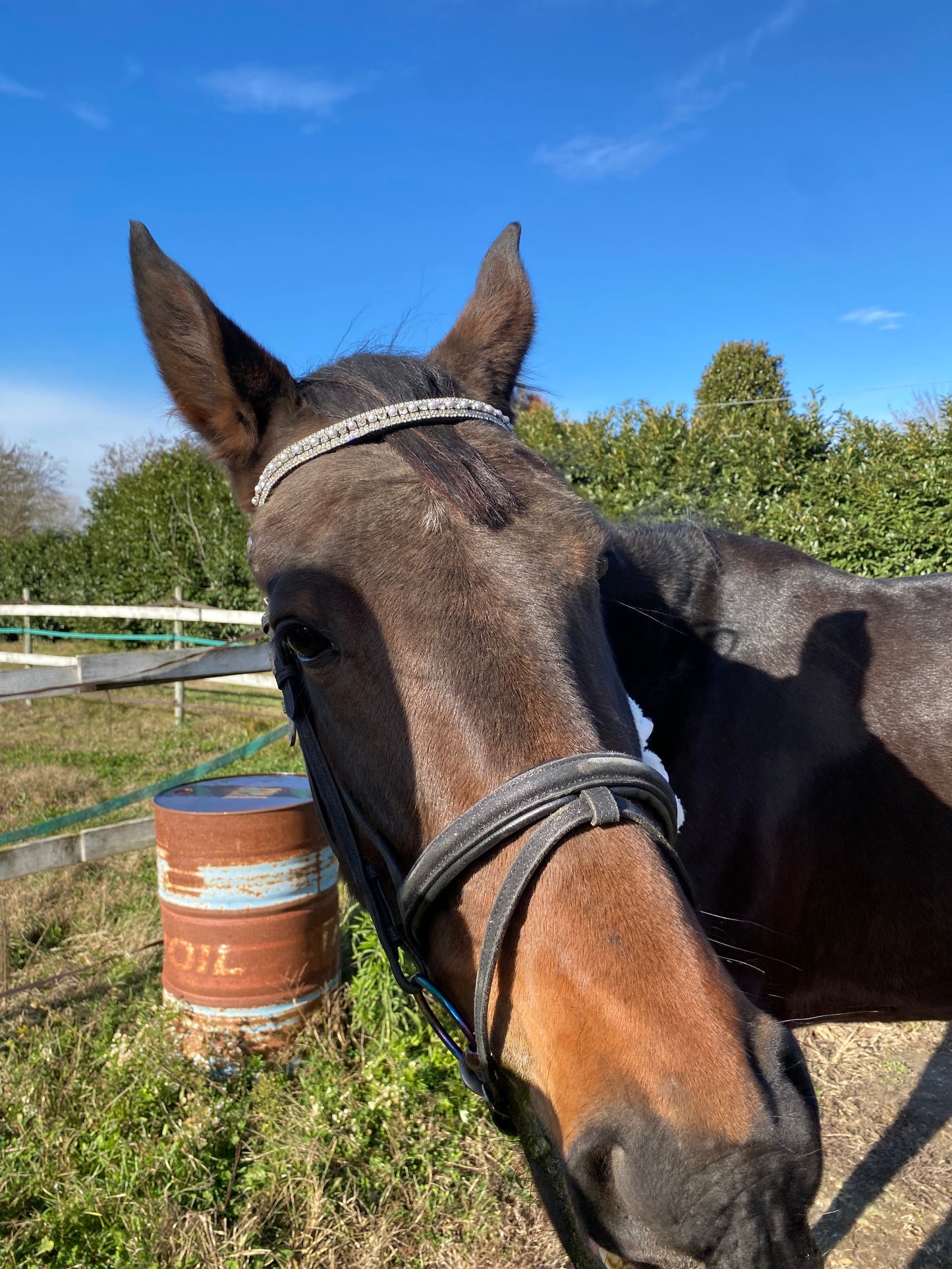 Frontalino con perline argento