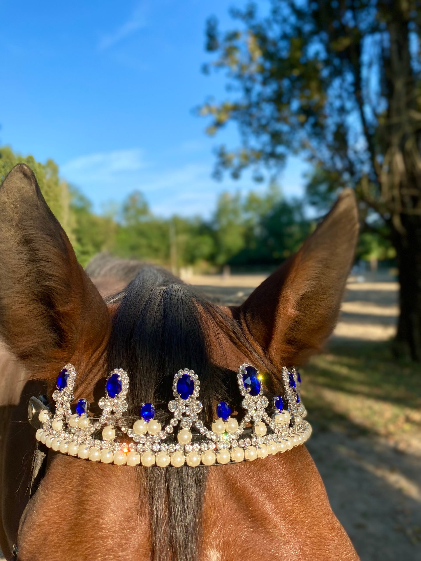 Frontalino Corona blu