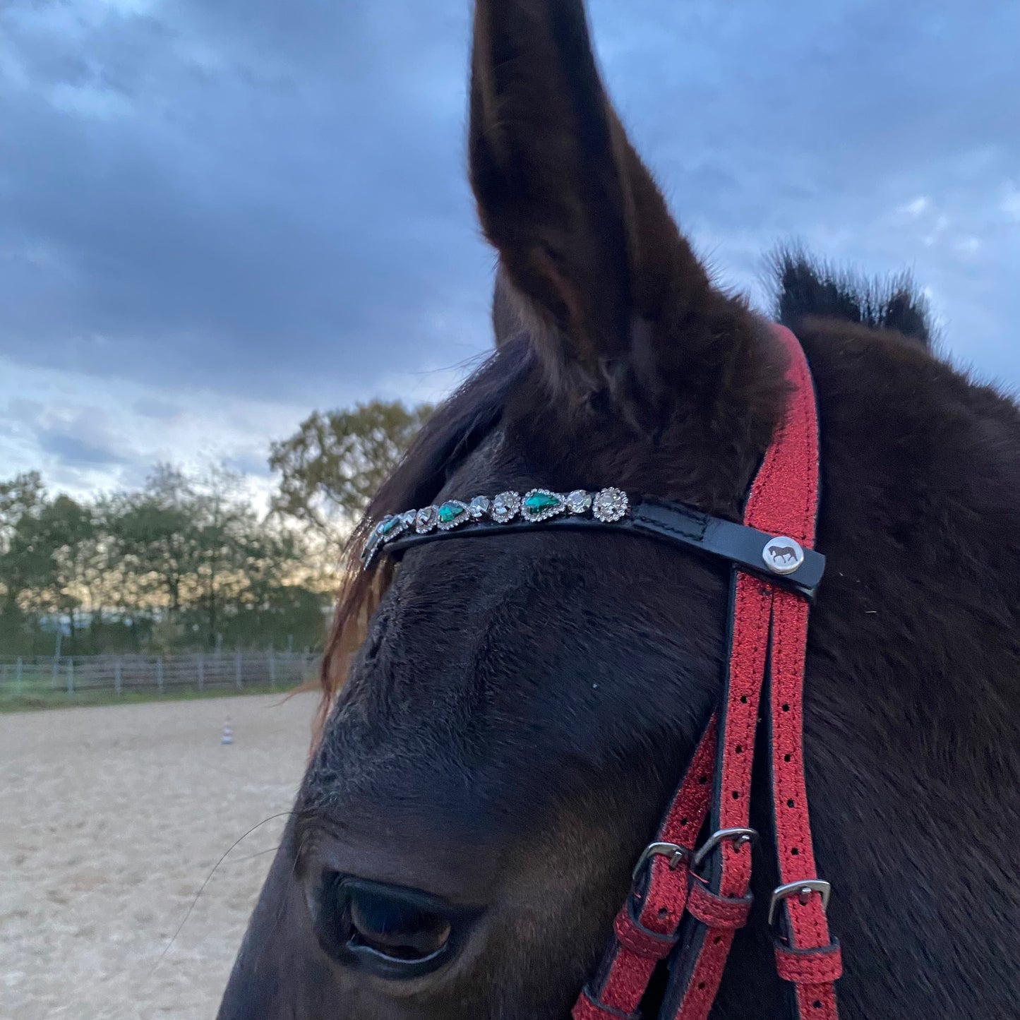 Frontalino Emerald Grace