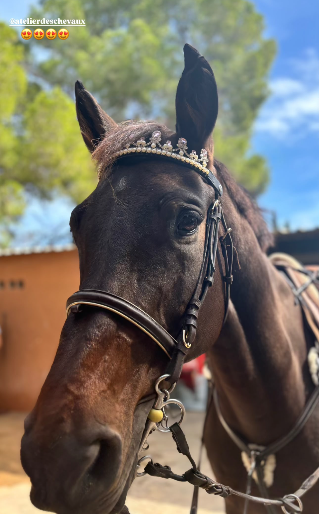 Frontalino Corona rosa chiaro