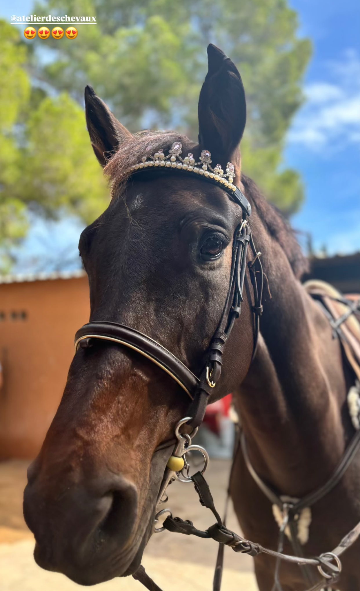 Frontalino Crystal Crown ✨