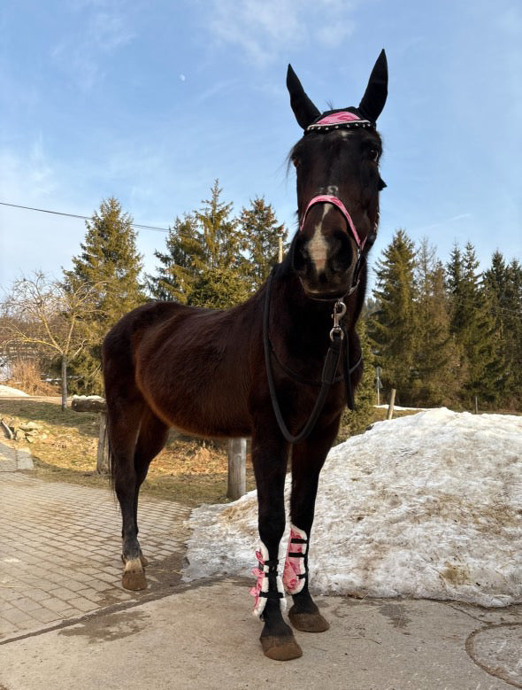 Completo da salto rosa glitter con baci