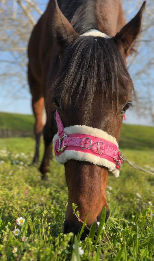 Halter