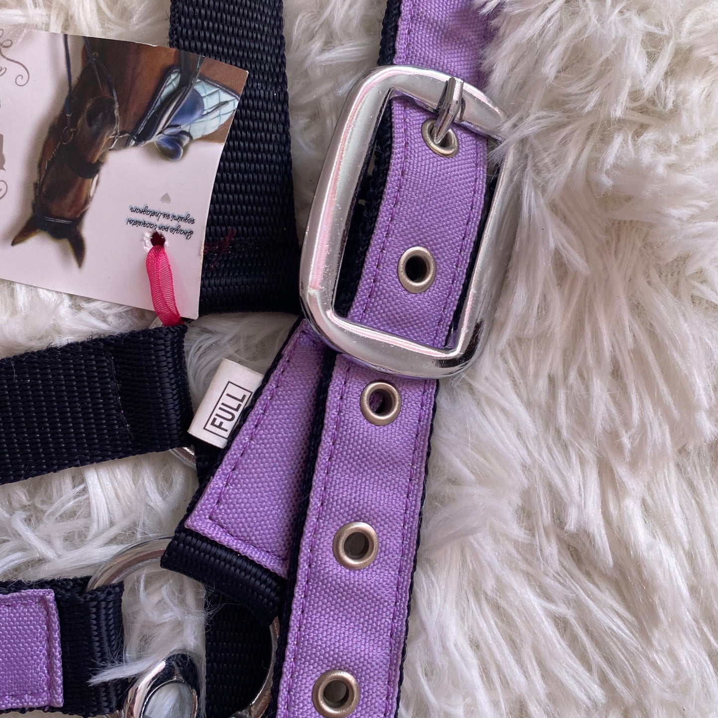 Cavezza Lila Star 🦄
