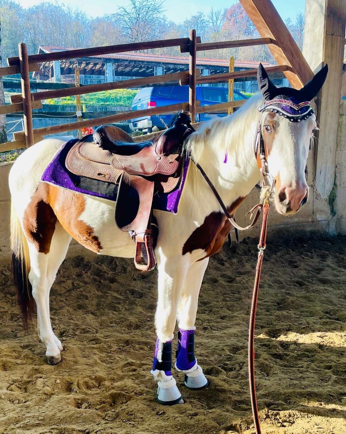 Sottosella Glam Western viola glitter