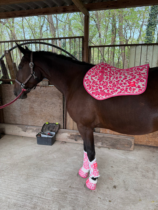 Set showjumping leopard fuchsia glitter