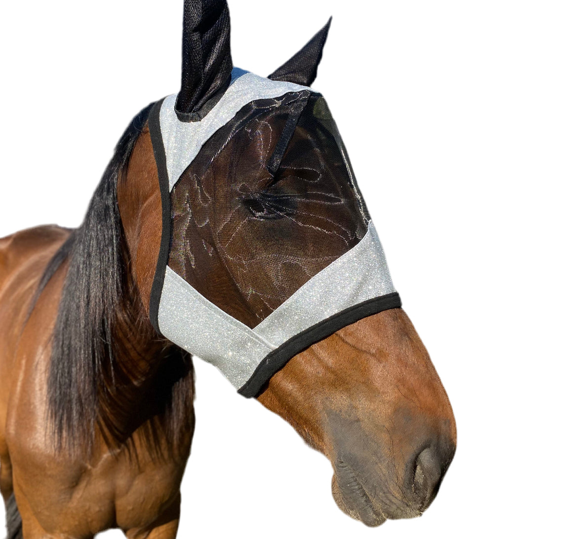 Mascherine antimosche