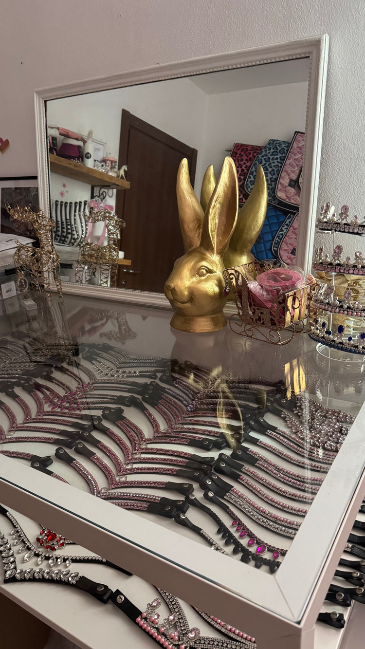 Discover all our products!