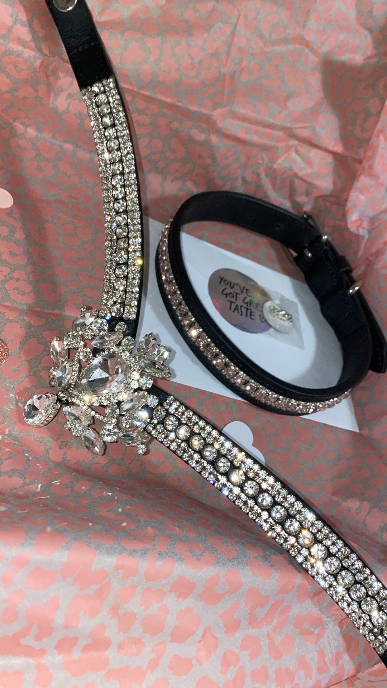 Accessori per cani