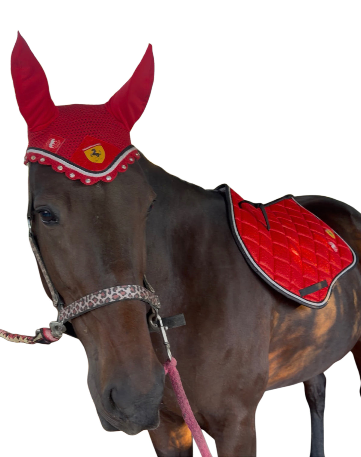 Saddlepad showjumping and bonnet red glitter
