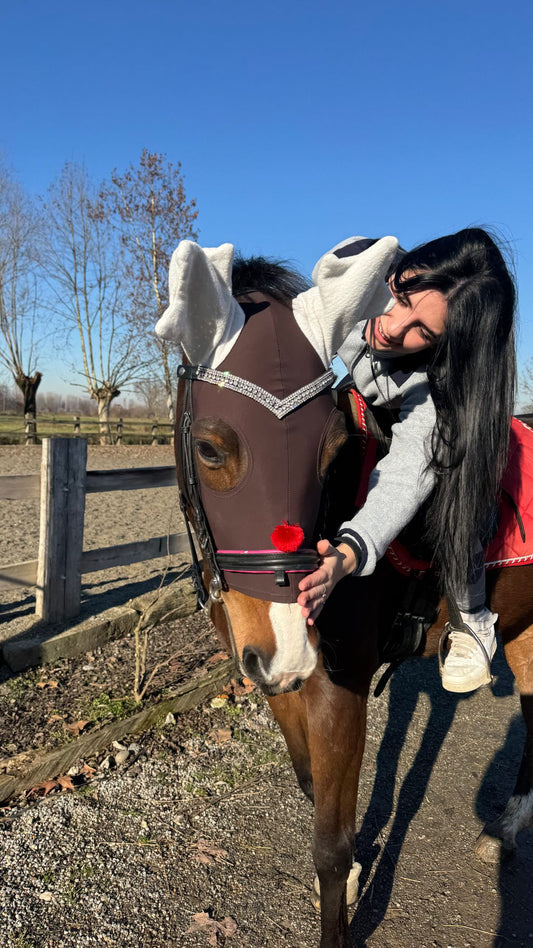 Browband Silver Elegance
