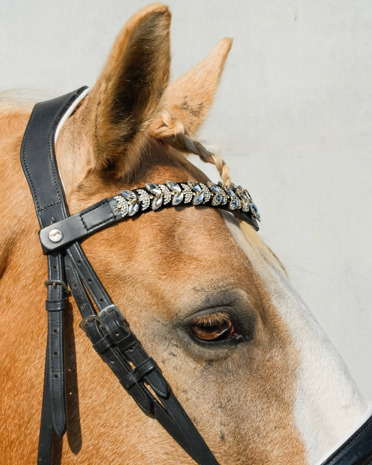 Frontalino Starlight V – Silver