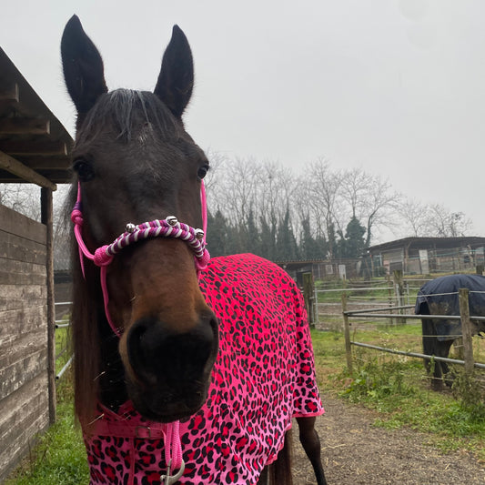 Coperta in pile leopardata