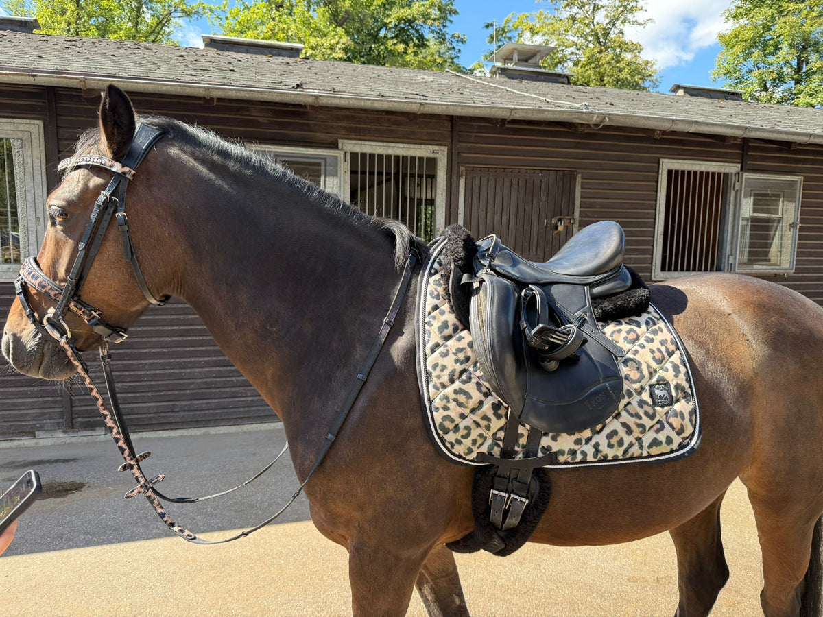 Saddlepad Leopard brown glitter