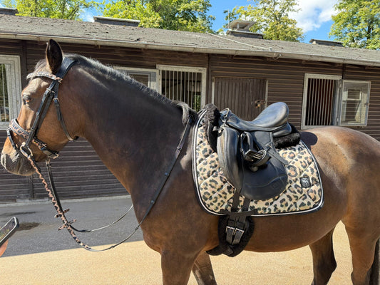 Saddlepad Leopard brown glitter