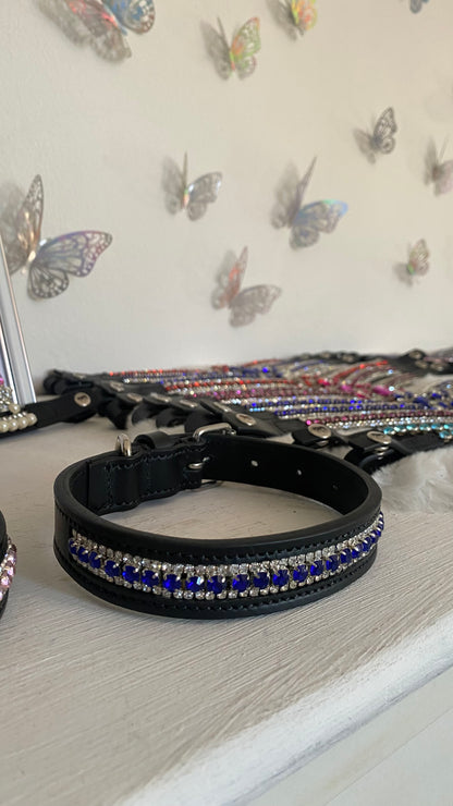 Collare per cani Royal Blue 💙