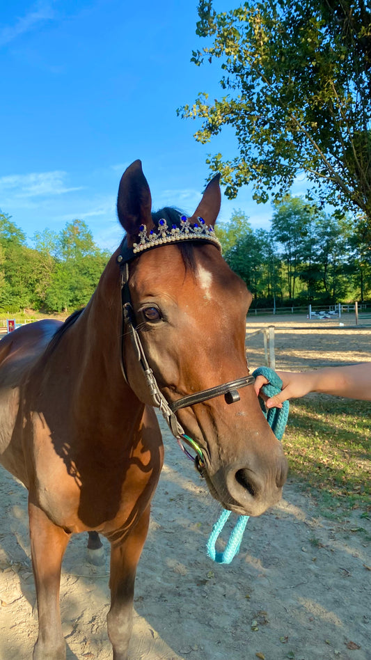 Frontalino Corona blu