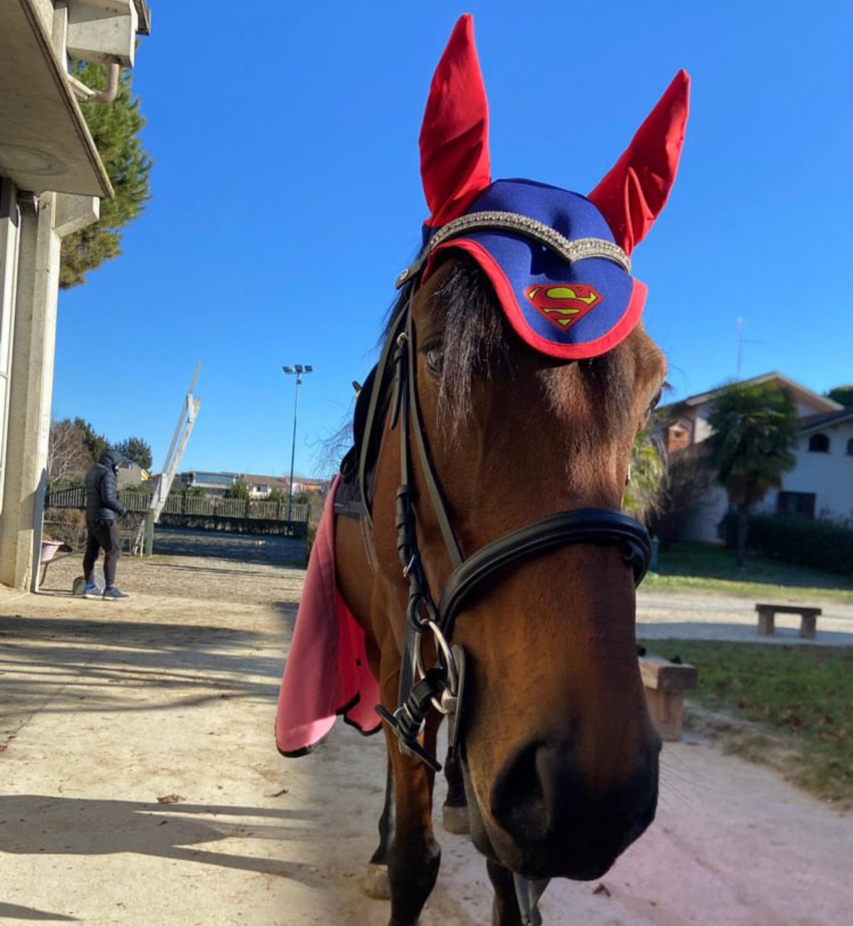 Frontalino Silver Elegance