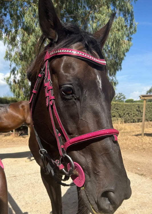 Bridle with reins fucsia glitter