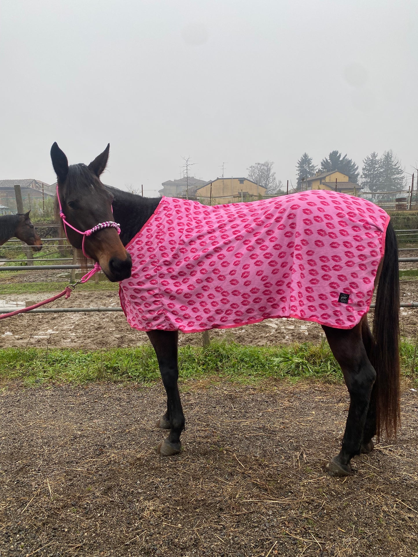 Coperta in pile con baci