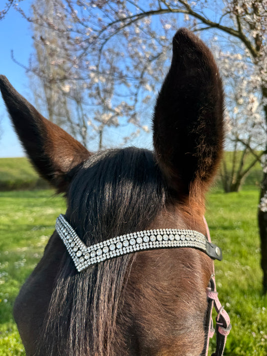Browband Silver Elegance