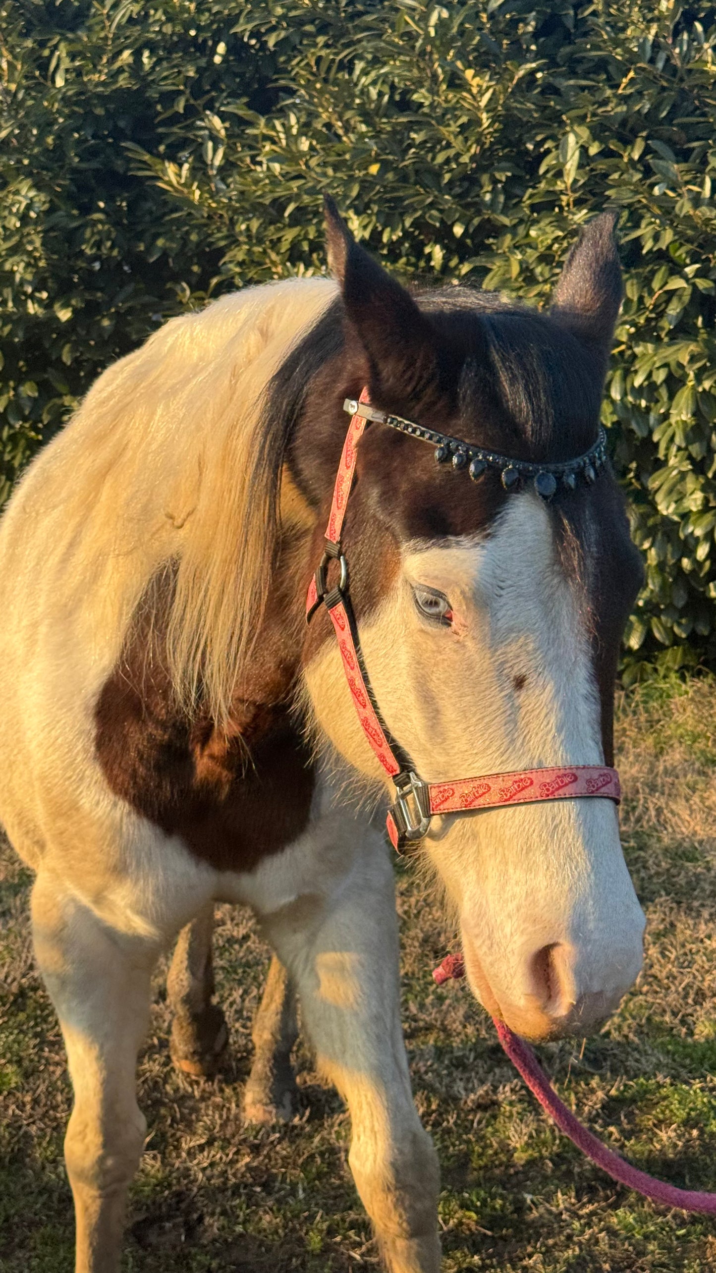 Frontalino a goccia nero