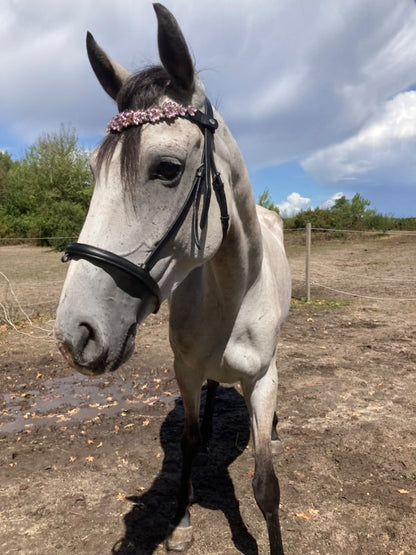 Frontalino Crystal Pink