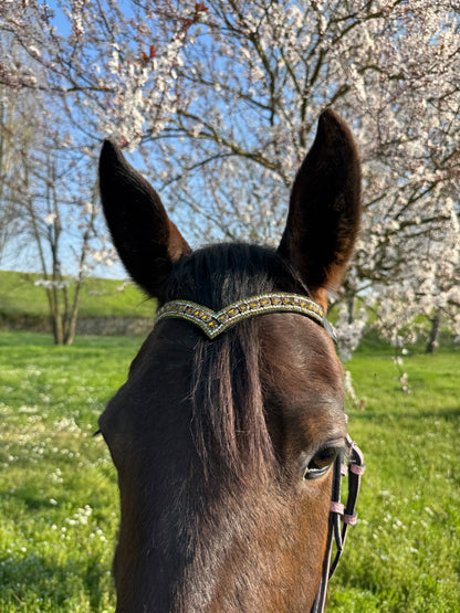 Blush Diamond browband - Yellow