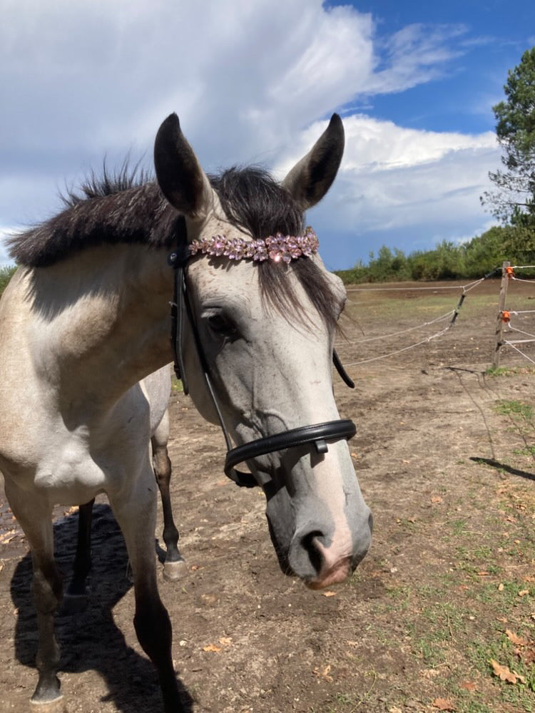 Frontalino Crystal Pink