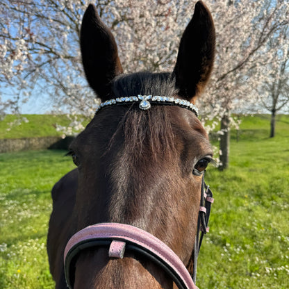 Browband silver