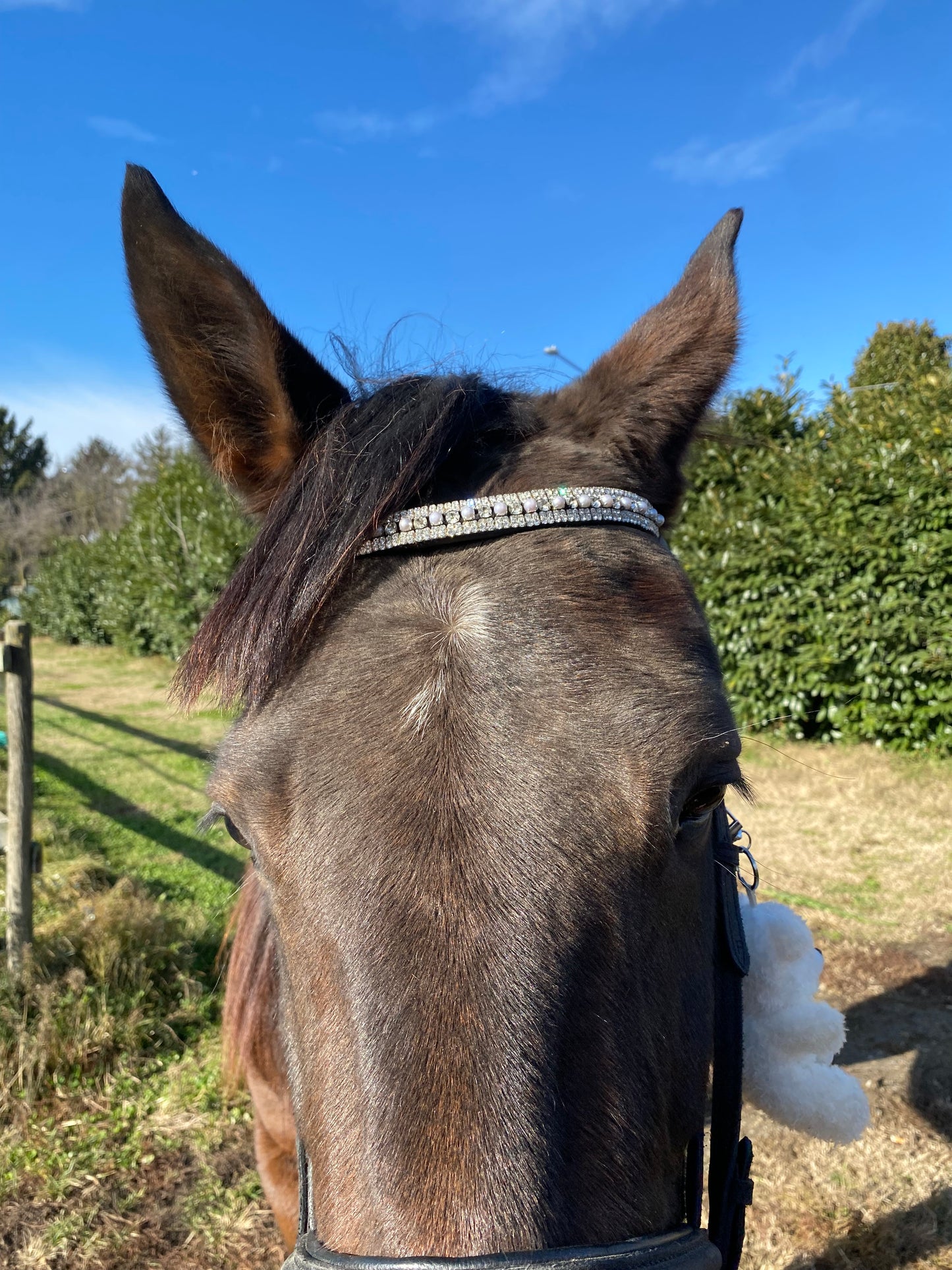 Frontalino con perline argento