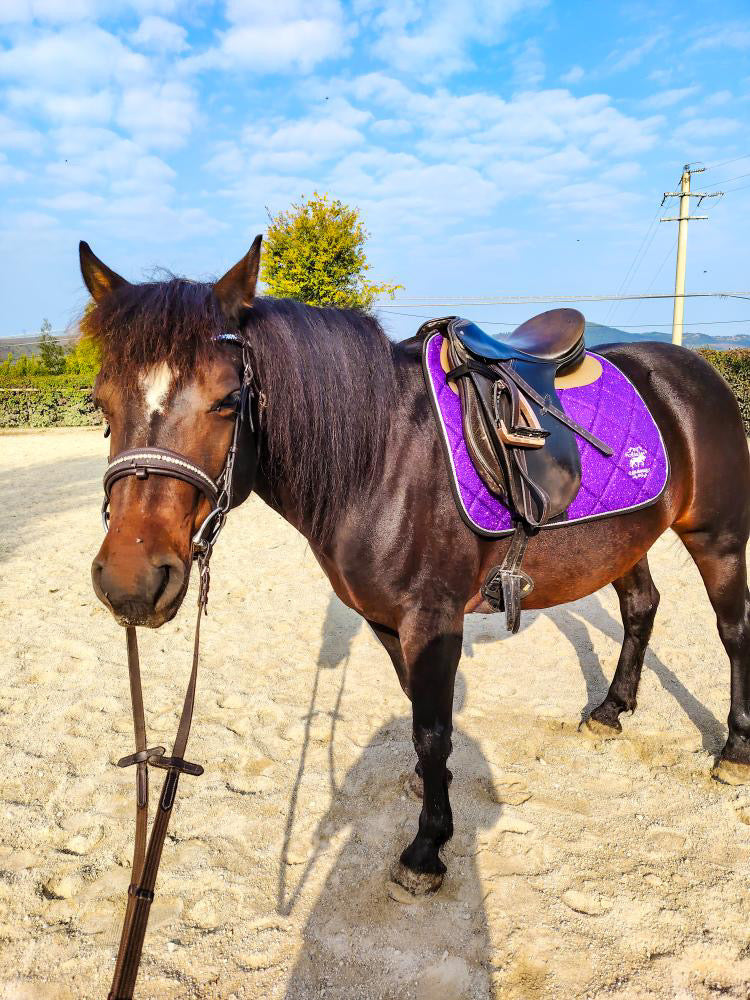 Sottosella e cuffietta da dressage viola glitter