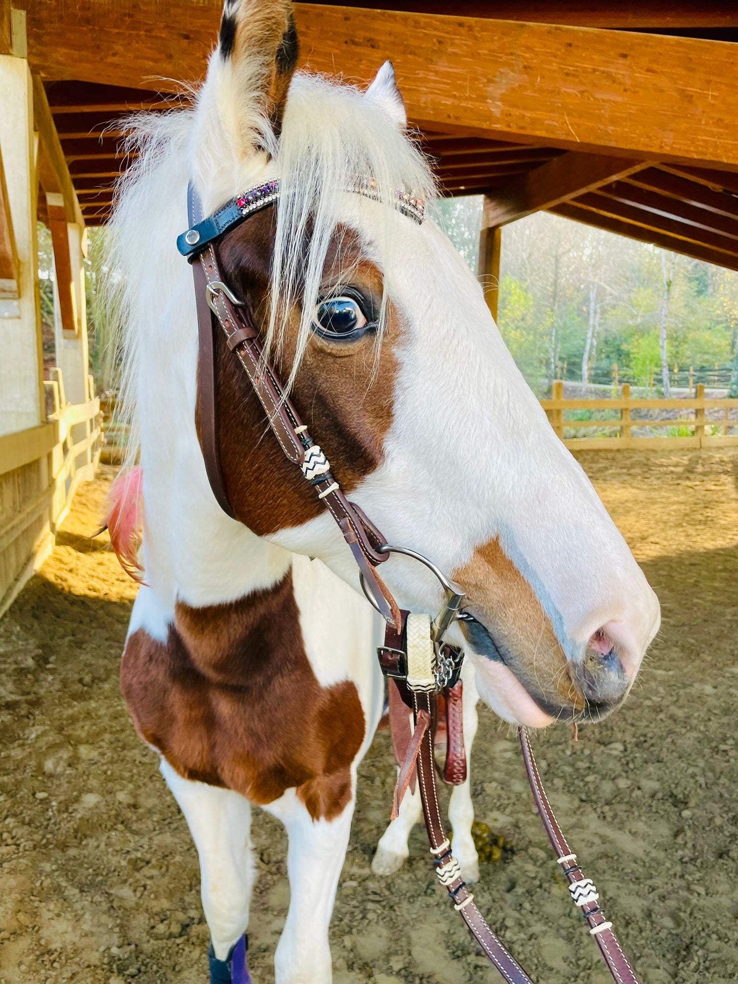 Frontalino Fire Glow 🌈