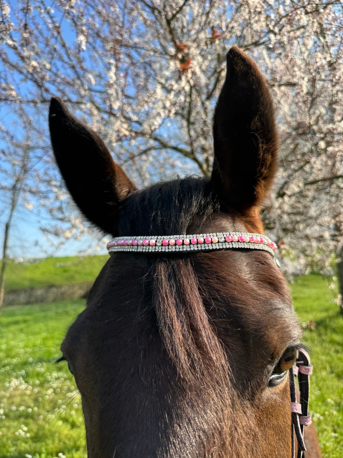 Browband pink pearls
