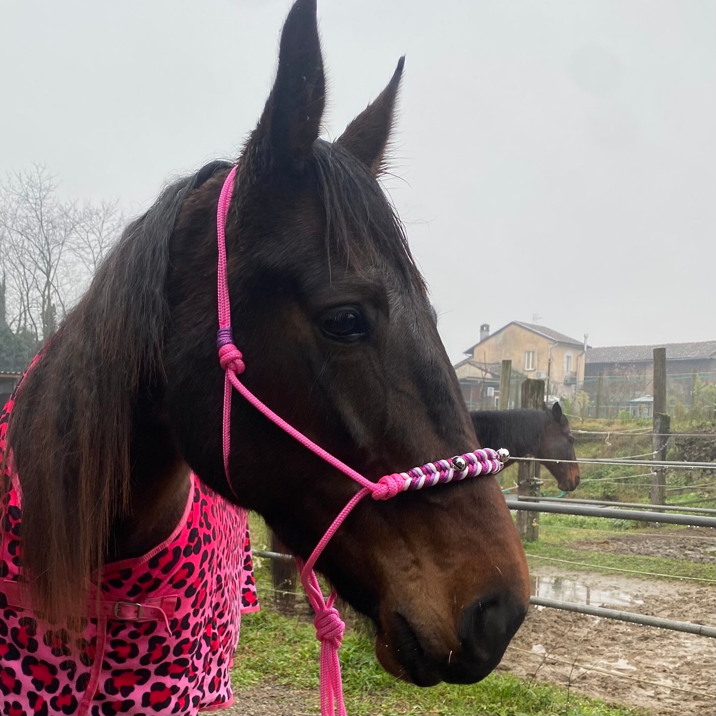 Cavezza in corda rosa natalizia