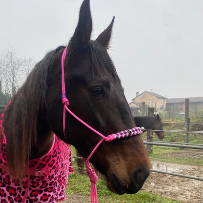 Cavezza in corda rosa natalizia