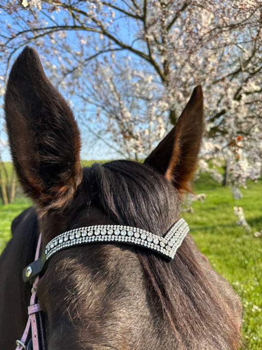 Browband Silver Elegance