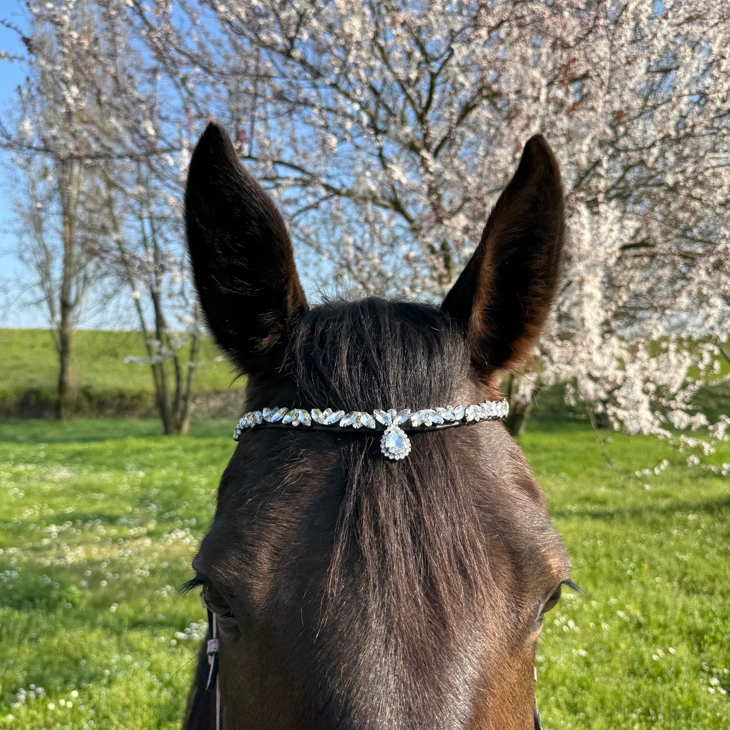 Browband silver
