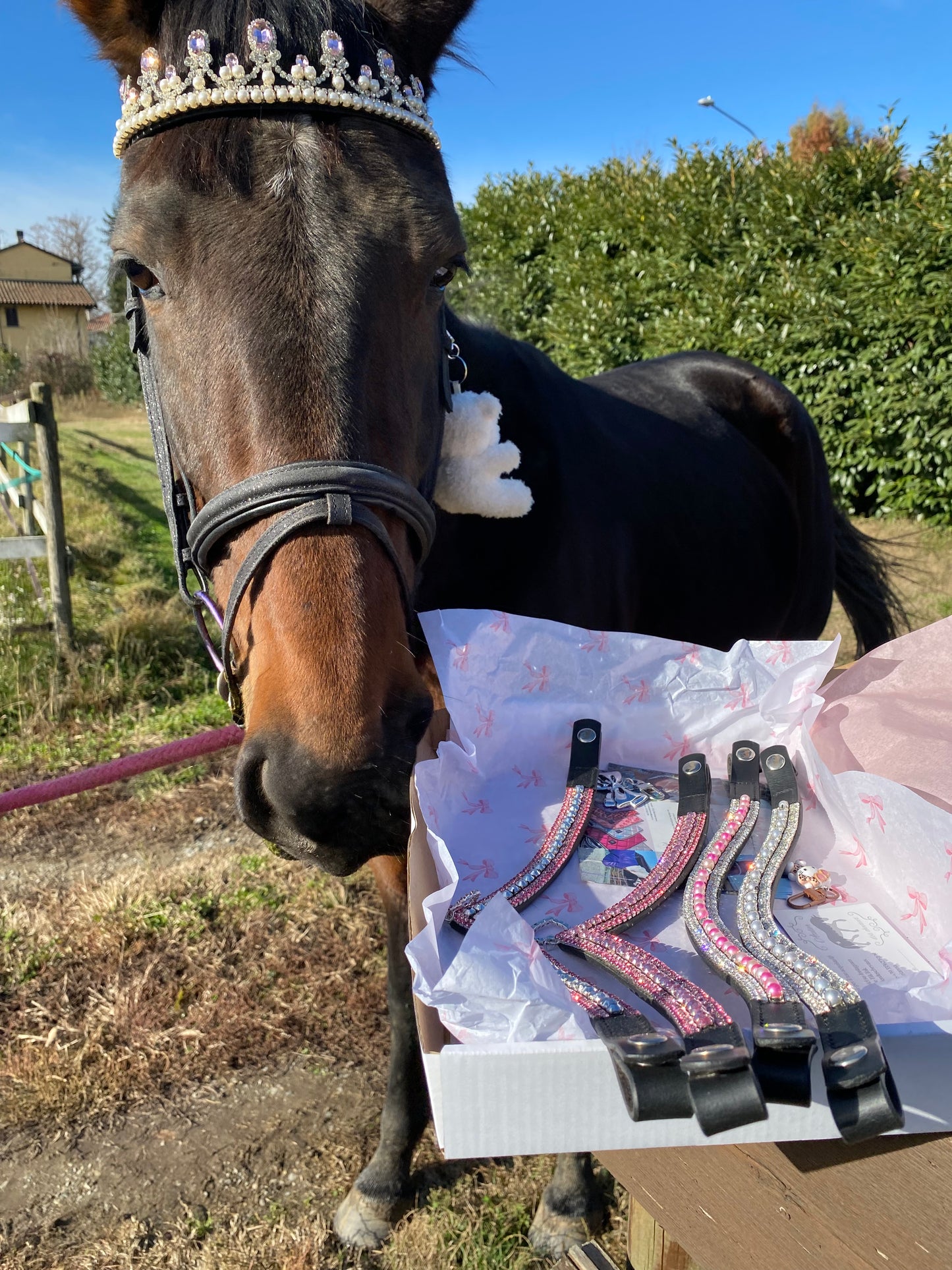 Frontalino Corona rosa chiaro