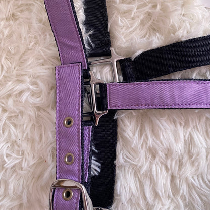 Cavezza Lila Star 🦄