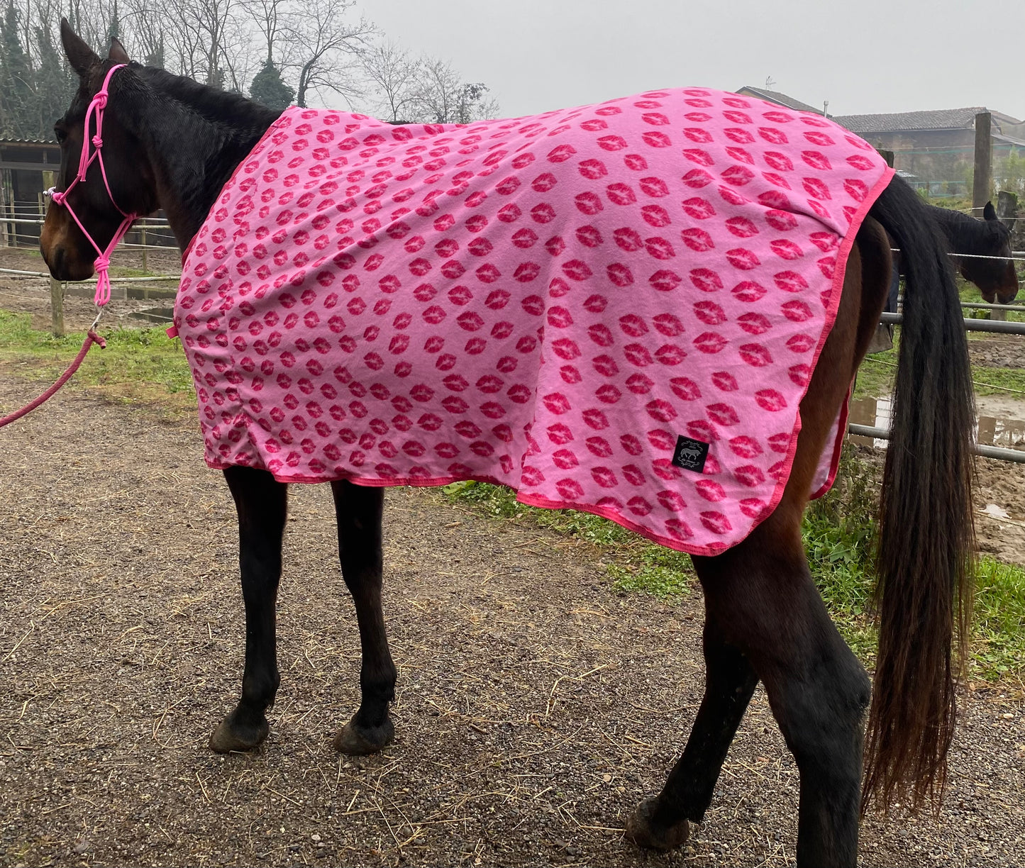 Coperta in pile con baci
