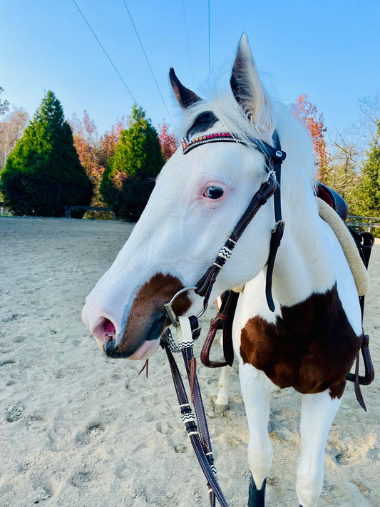 Frontalino Fire Glow 🌈