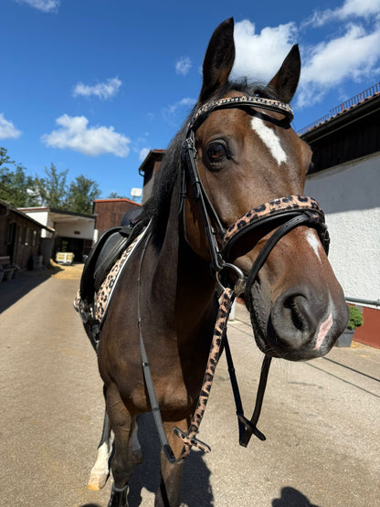 Bridle with reins leopard brown