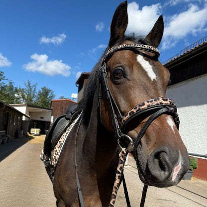 Bridle with reins leopard brown