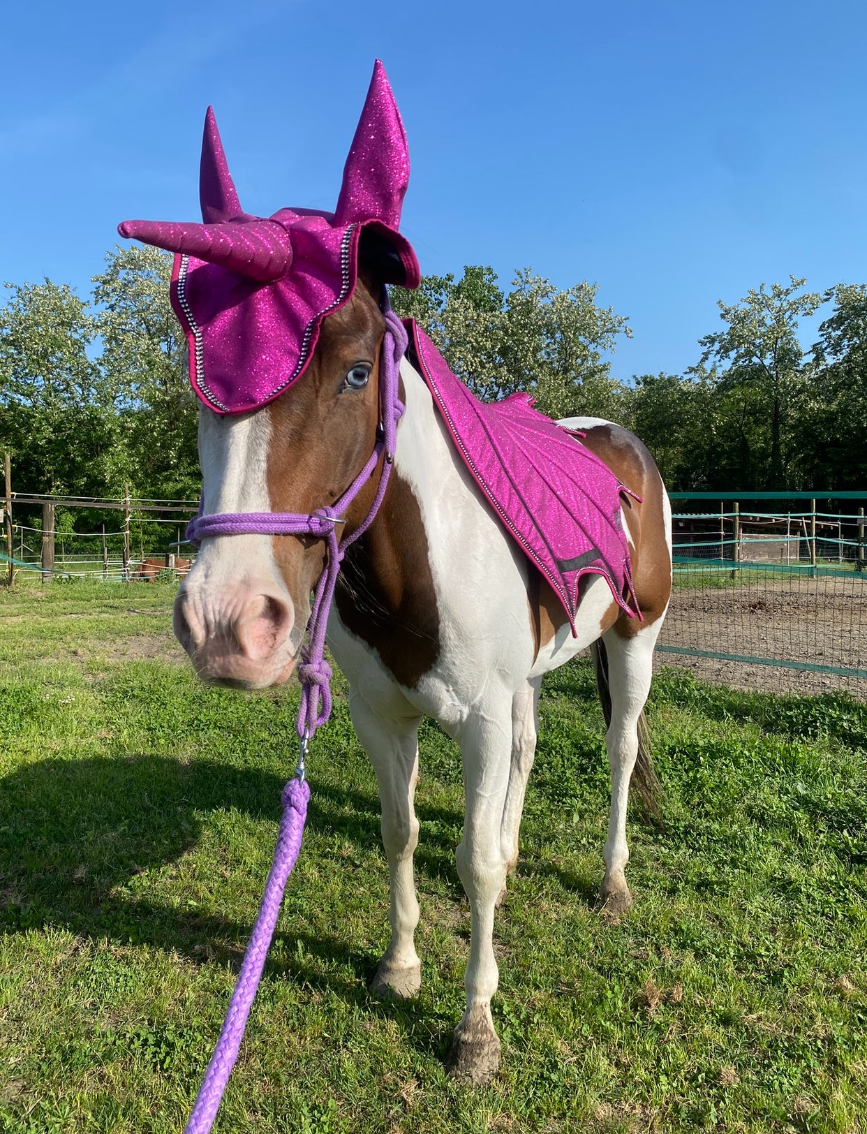 Set unicorno fucsia Glitter 🩷